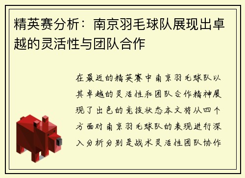 精英赛分析：南京羽毛球队展现出卓越的灵活性与团队合作